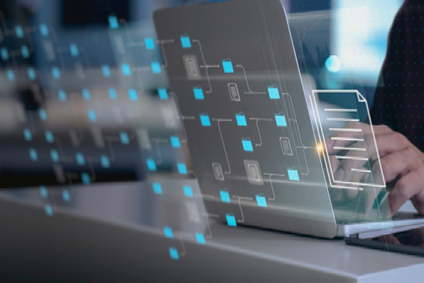 Exploring Government-Led Digitization: 50% Growth in E-Governance by 2025