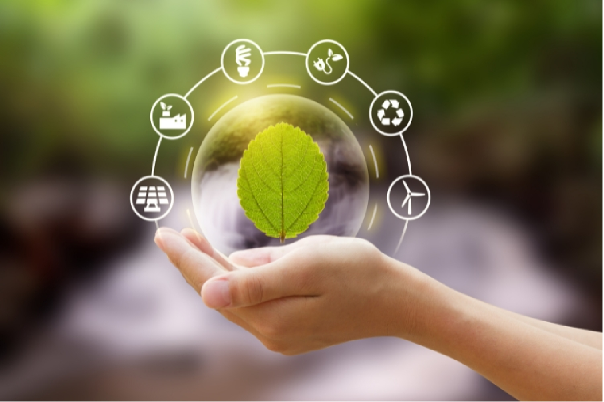 Sustainable Digital Transformation: 30% Greener Tech Strategies for 2024